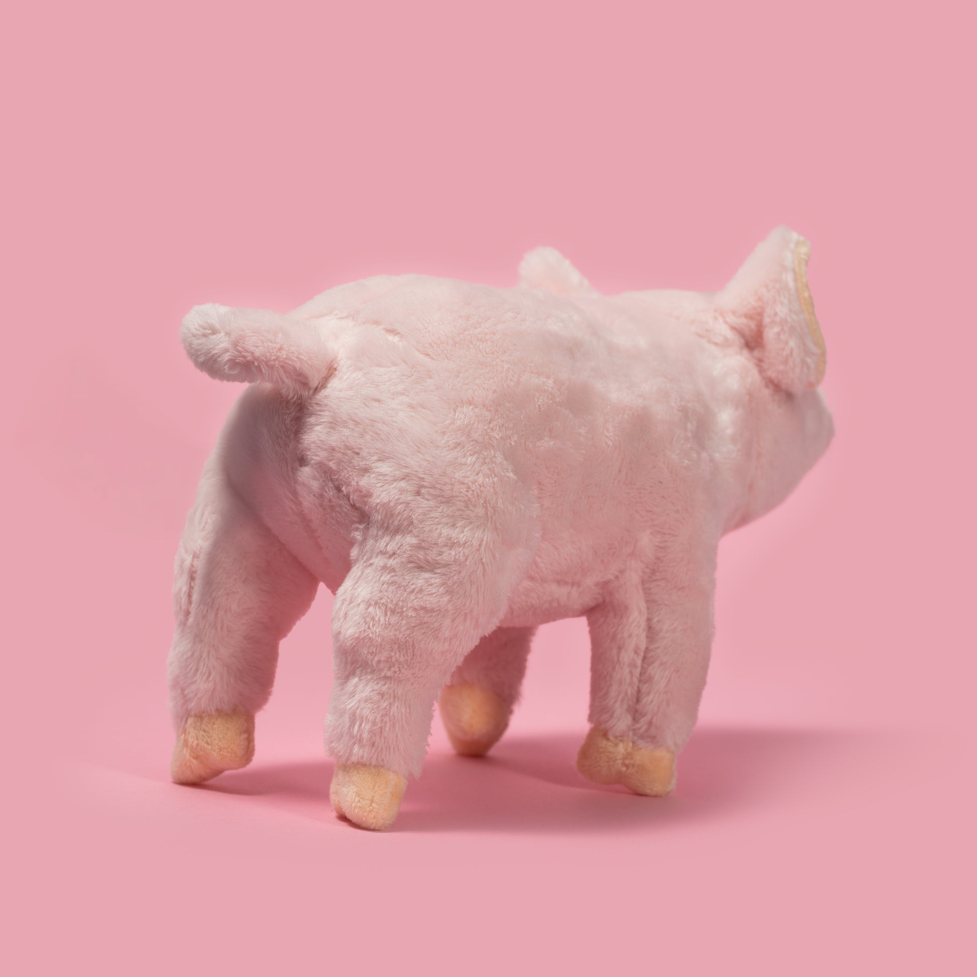 Pluszak świnka dla dzieci w kolorze różowym na różowym tle od Wild Planet