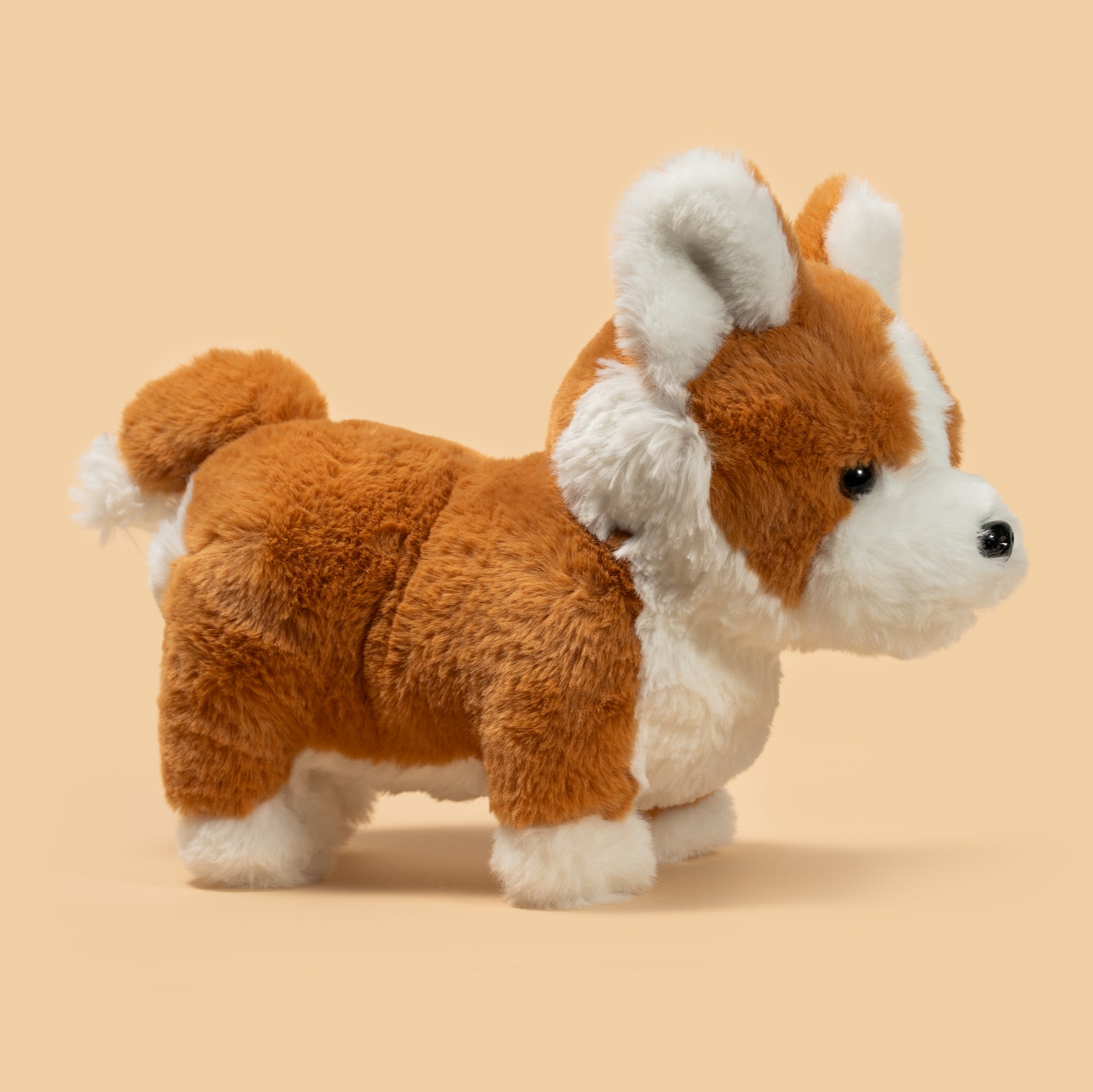 Pluszak szczeniak corgi w kolorze brązowo-białym od Wild Planet na beżowym tle
