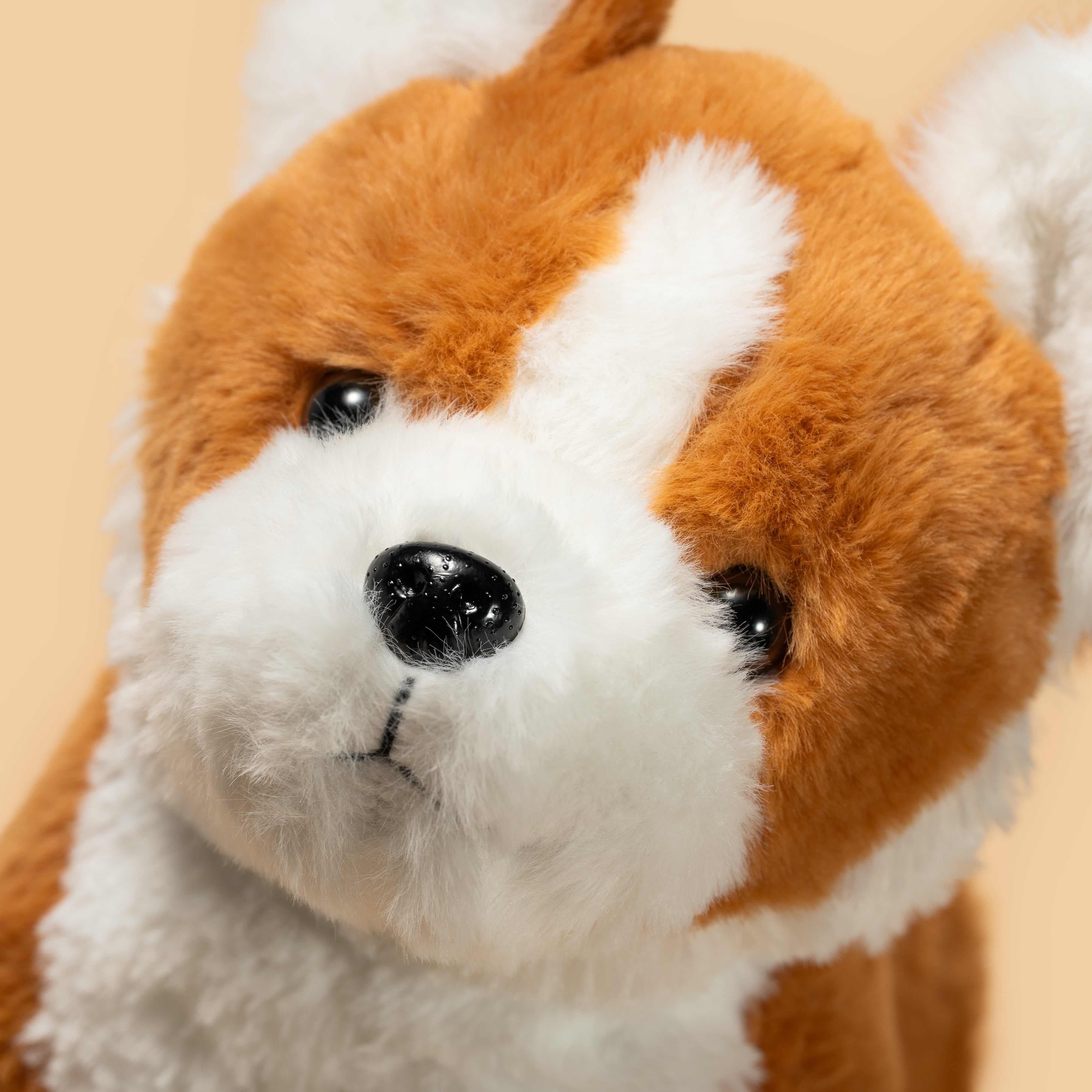 Pluszak szczeniak corgi od Wild Planet z miękkim brązowo-białym futerkiem i realistycznymi detalami