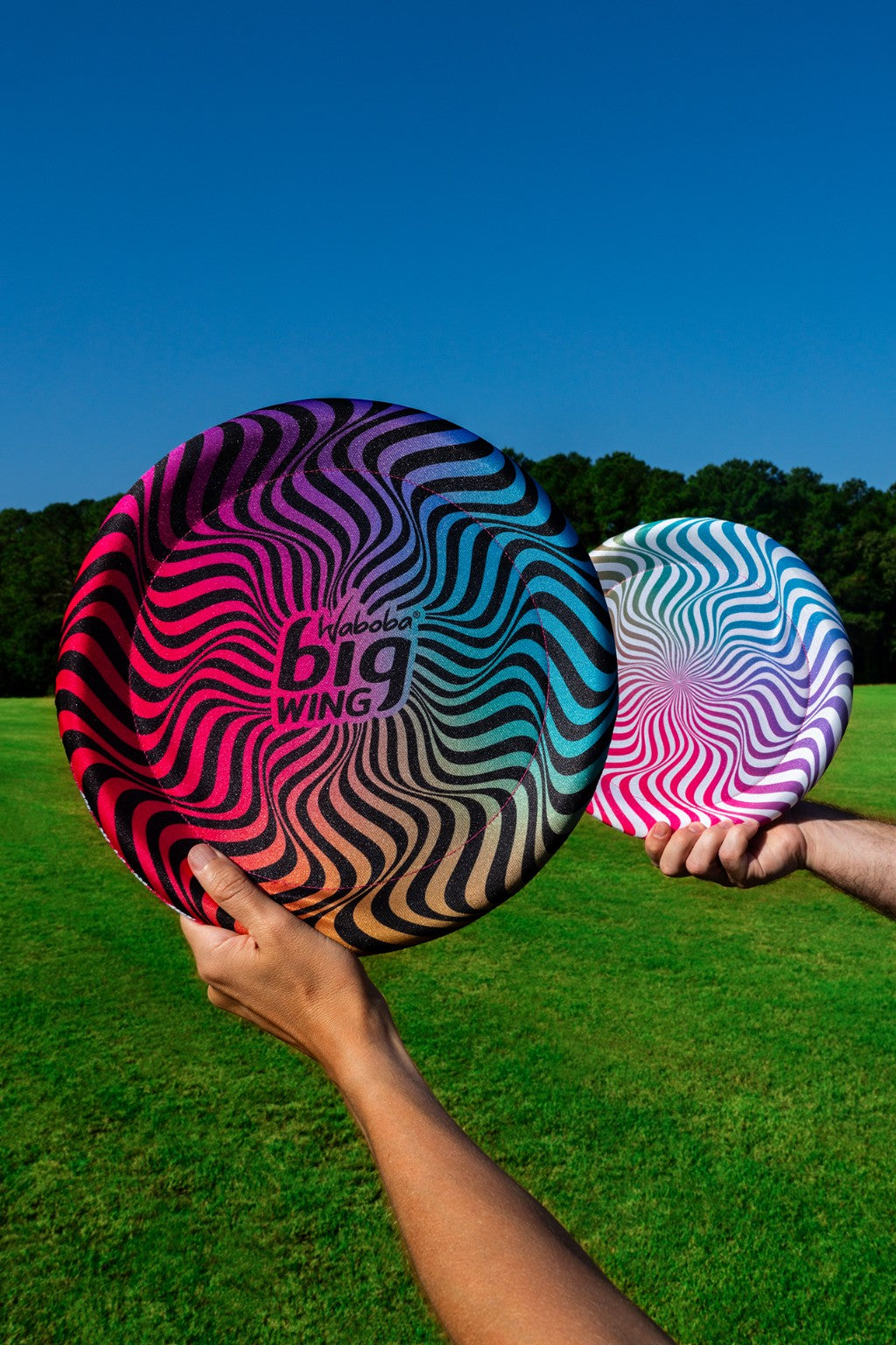 Kolorowy latający dysk Waboba Bigwing trzymany na tle zielonej trawy i niebieskiego nieba