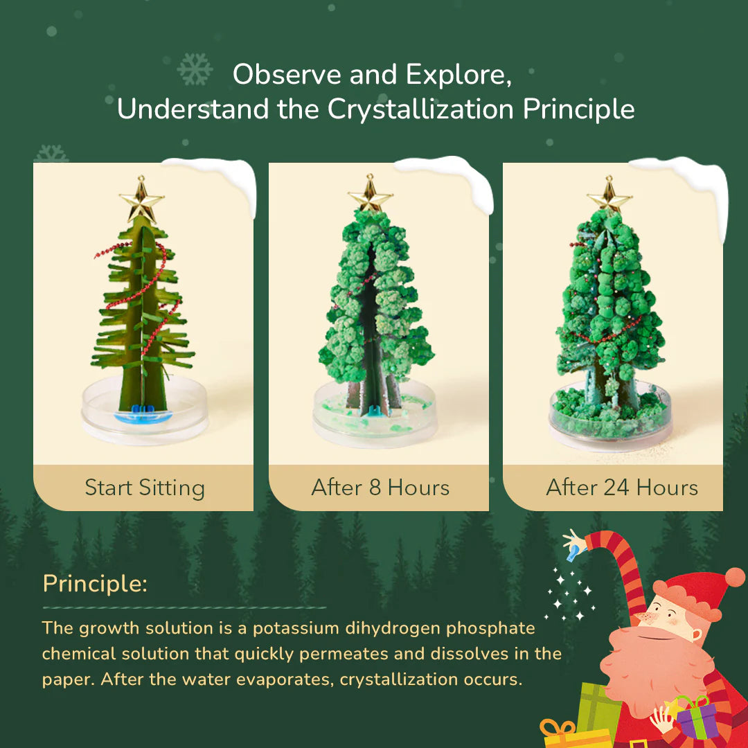 Magiczne drzewko świąteczne WABOBA AB przedstawione w trzech etapach krystalizacji od początku do 24 godzin