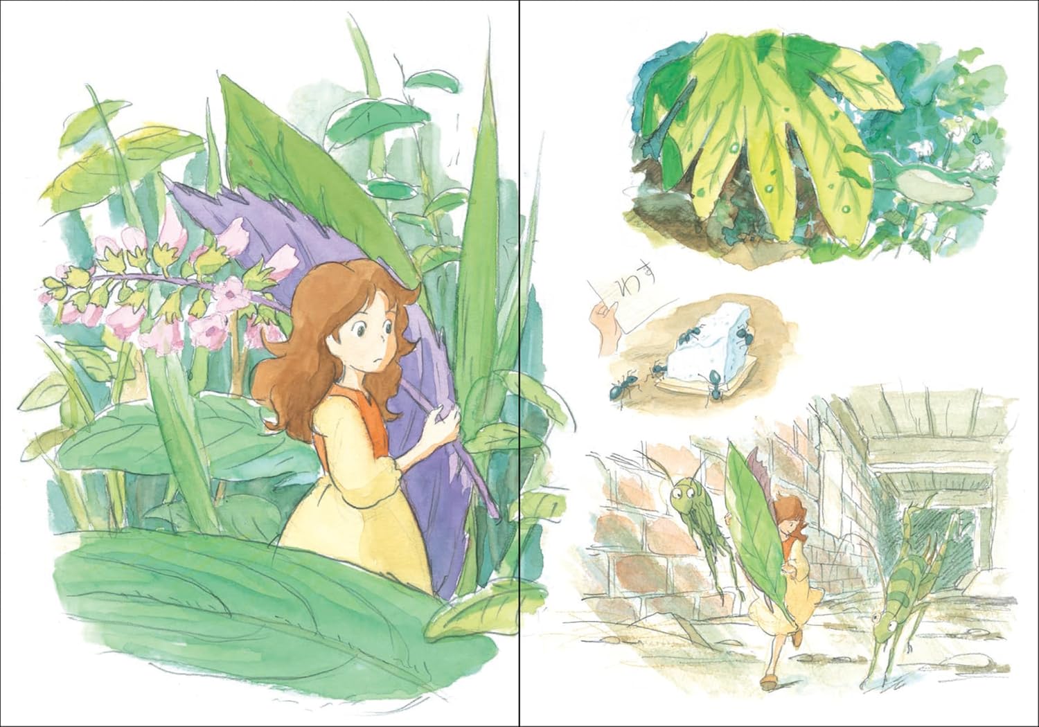Ilustracja z dziennika Studio Ghibli Secret Arrietty przedstawiająca bohaterkę wśród dużych liści