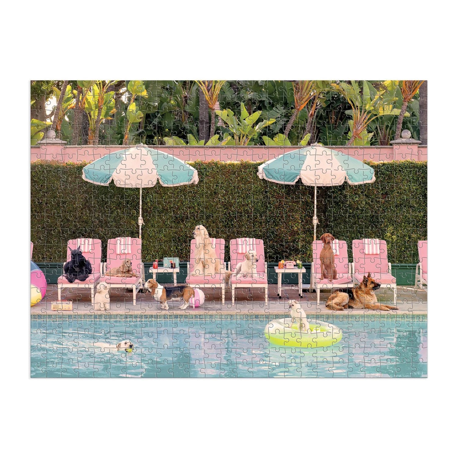 Puzzle Galison Gray Malin – The Dogs at the Beverly Hills Hotel (500 el.)