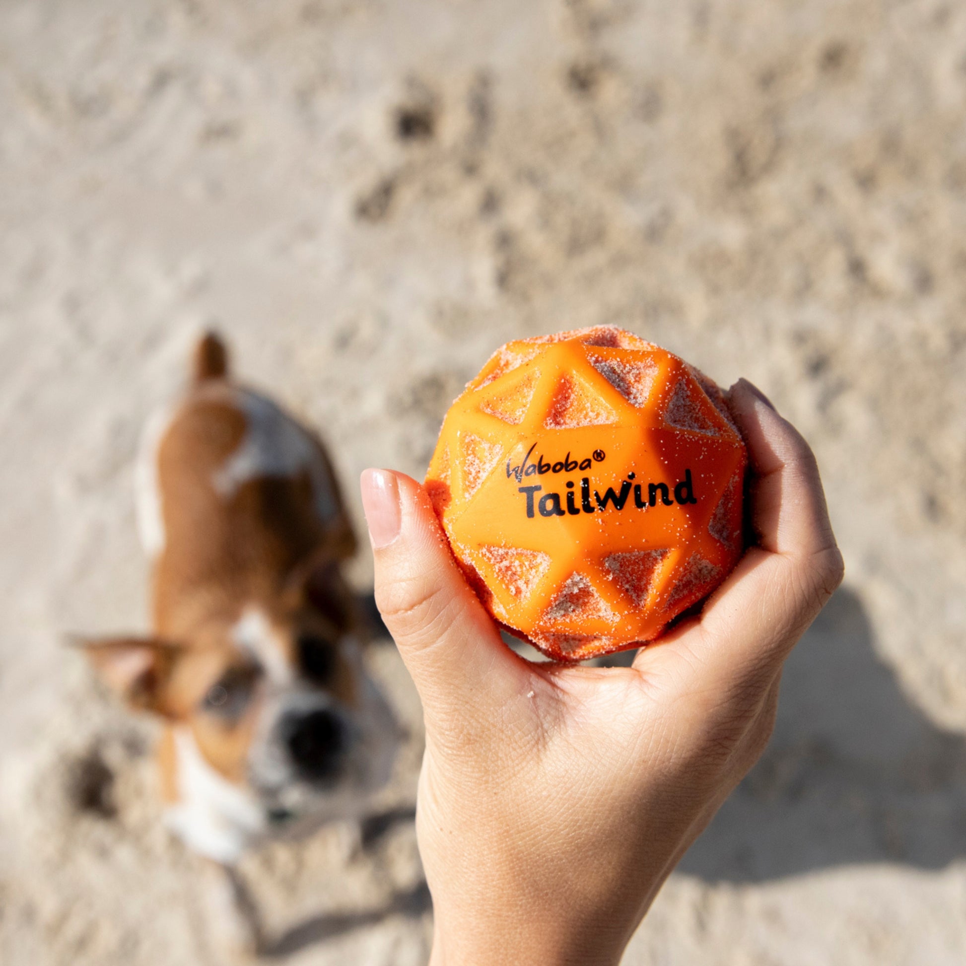 Pomarańczowa piłka do zabawy dla psa trzymana w ręce na plaży zestaw zabawek dla psa