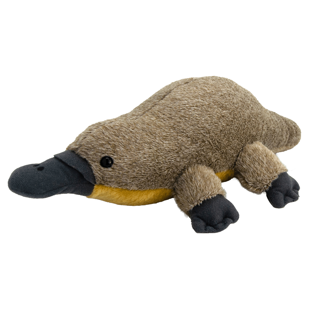 Pluszak dziobak australijski od Wild Planet miękki i realistyczny pluszak zwierzątka