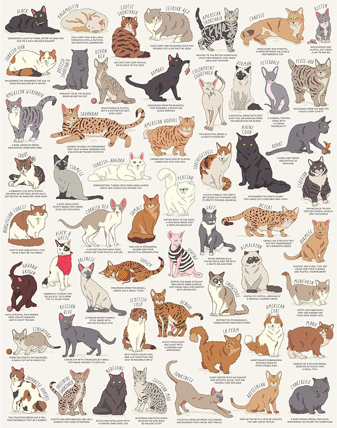 Rompecabezas Ridley's para amantes de los gatos (1000 piezas)