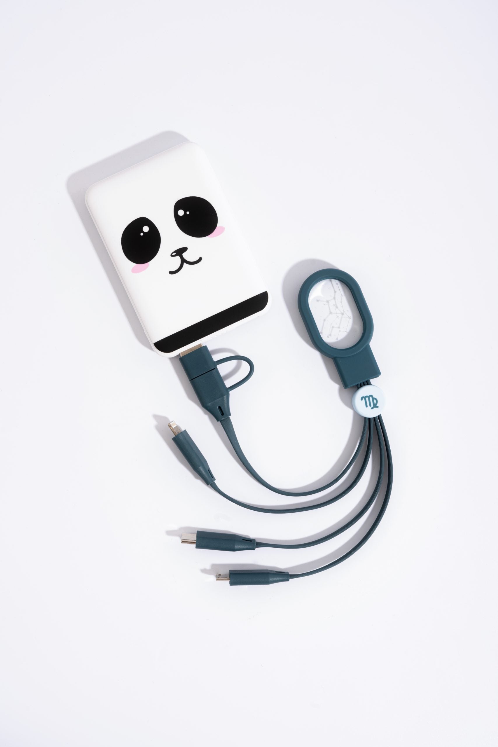 Astro 5in1 MOB Cable – Lion