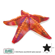 Kolorowy pluszak rozgwiazda Wild Planet z pomarańczowymi detalami i miękkim materiałem