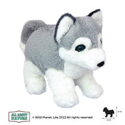 Pluszak husky dla dzieci od Wild Planet miękki pluszowy piesek w szaro-białych kolorach
