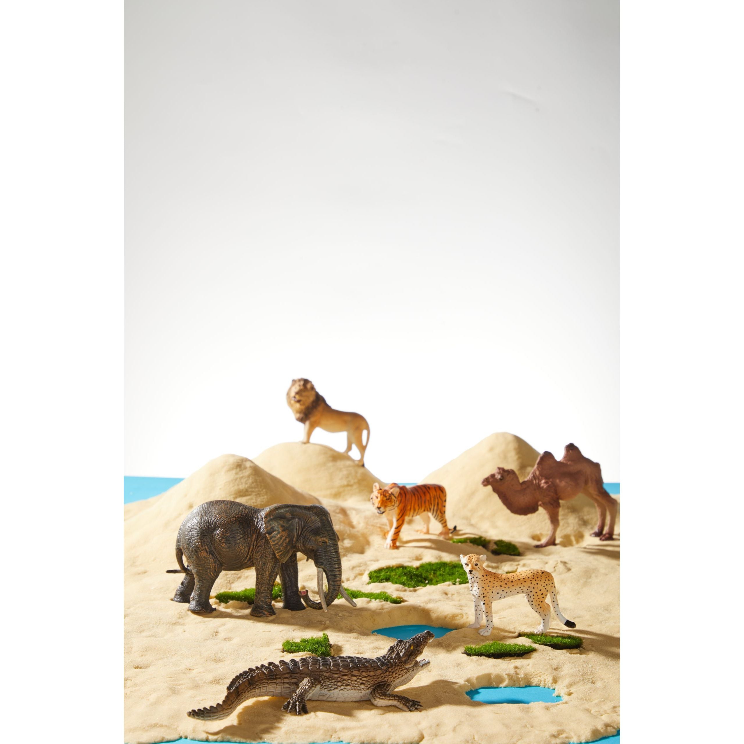Zestaw figurek dzikich zwierząt dla dzieci przedstawiający lwa, tygrysa, słonia, krokodyla, geparda i wielbłąda na pustynnym tle