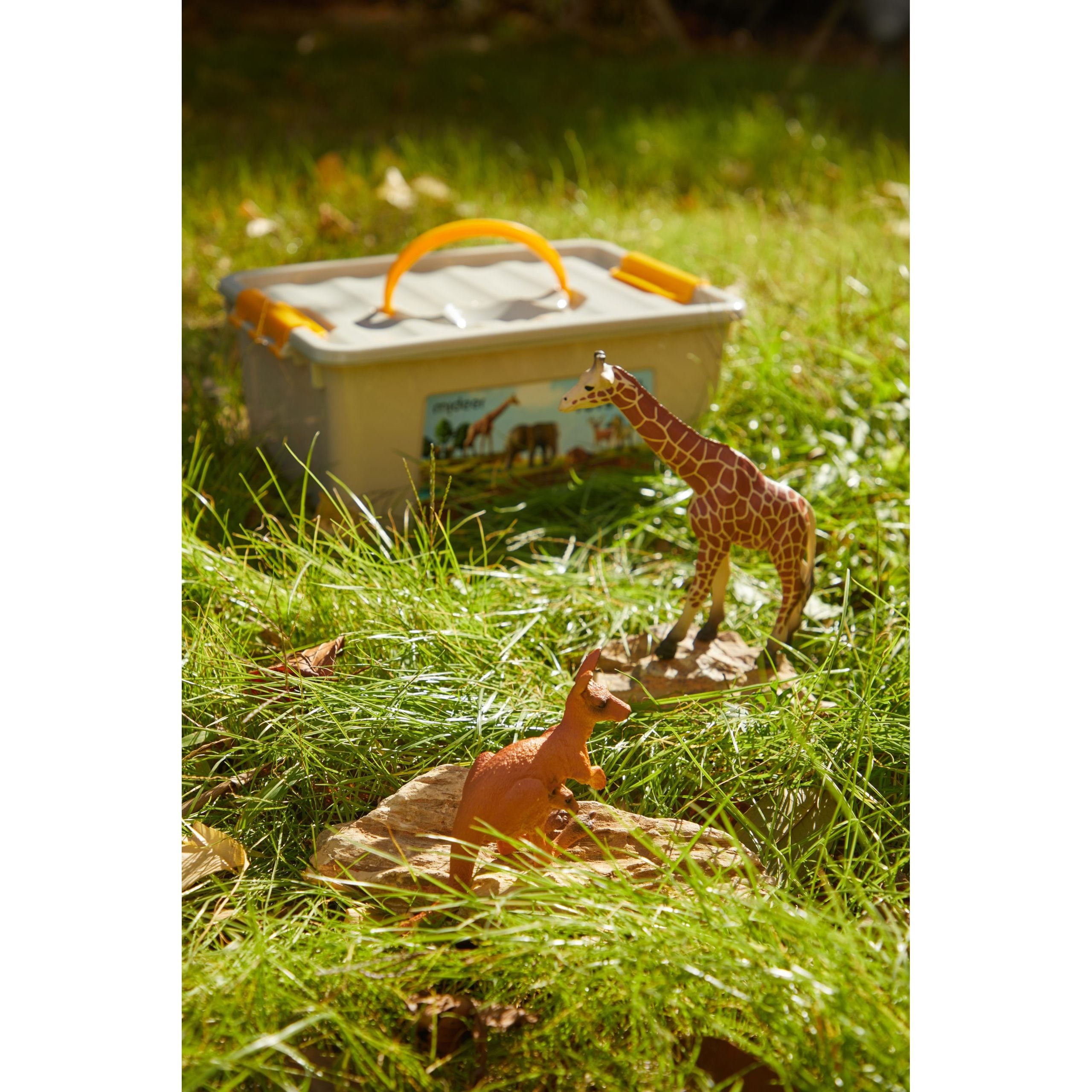 Zestaw figurek dzikich zwierząt dla dzieci z plastikową skrzynką na trawie w słońcu