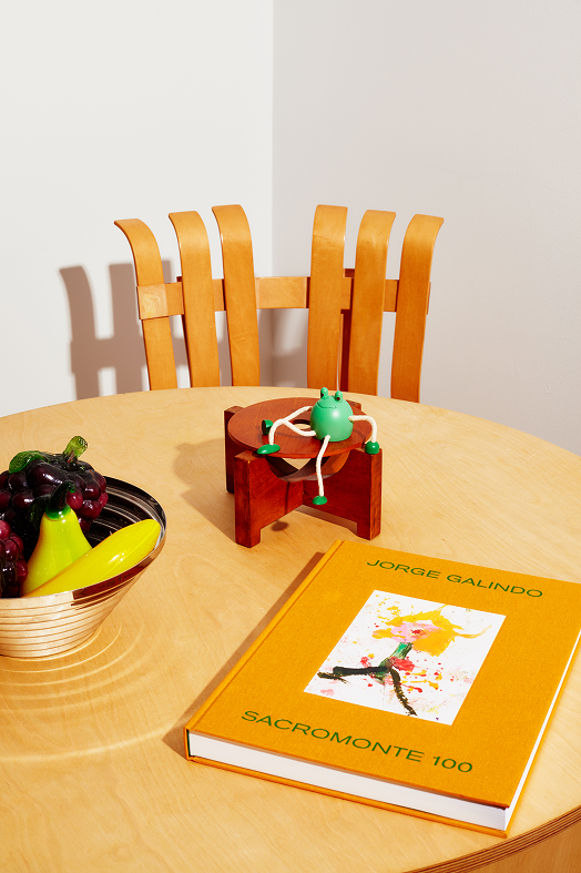 Drewniana figurka żaba na brązowym stojaku na stole obok książki i miski z owocami