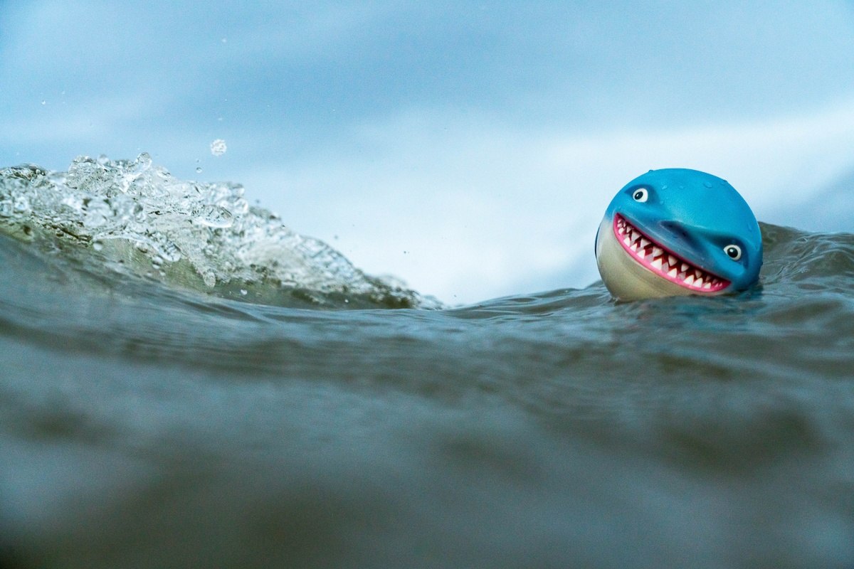 Piłeczka Waboba Sharky Shark niebieska zabawka pływająca w wodzie z animowanym wzorem rekina