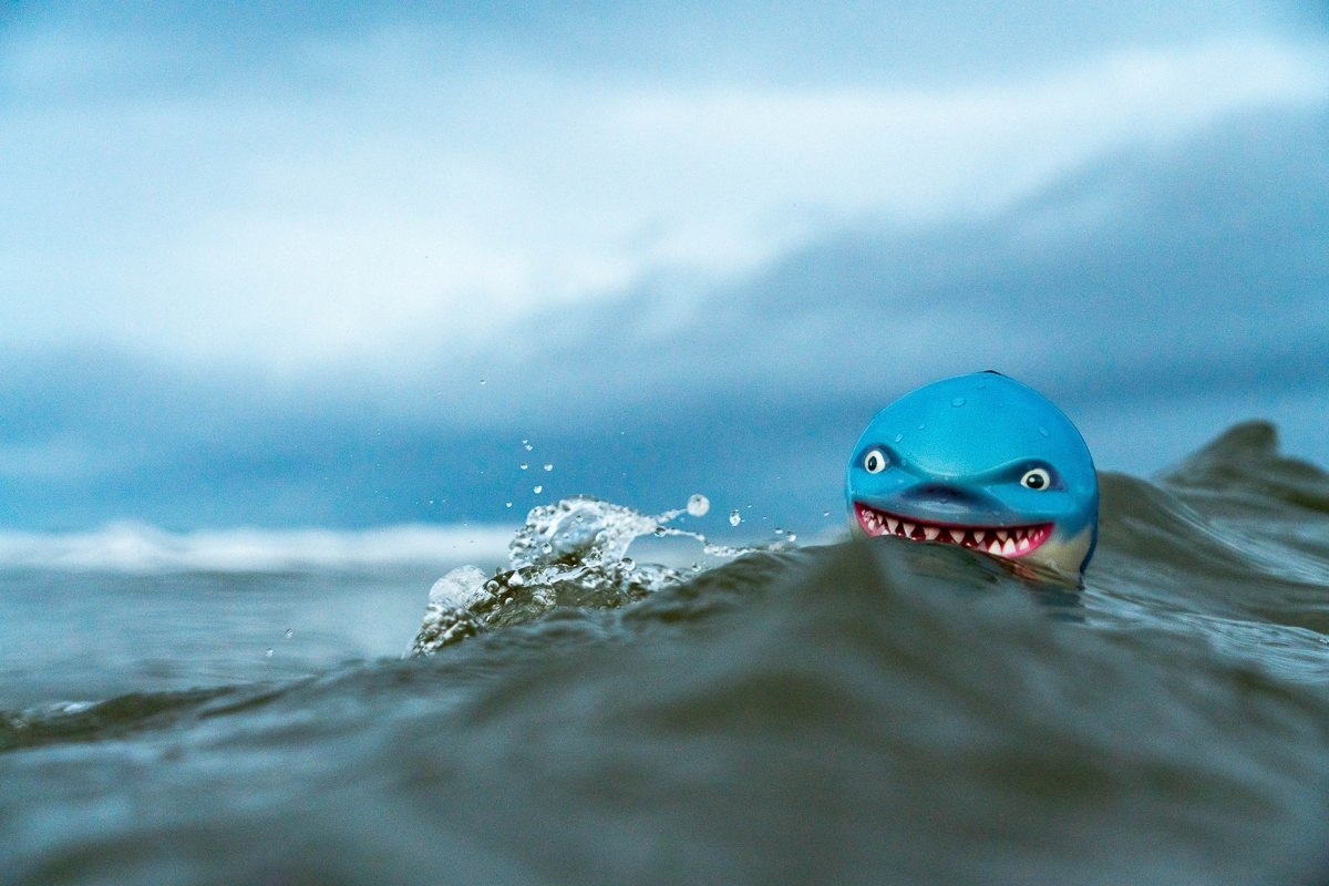 Niebieska piłeczka Waboba Sharky Shark z kształtem rekina pływająca na wodzie podczas fali