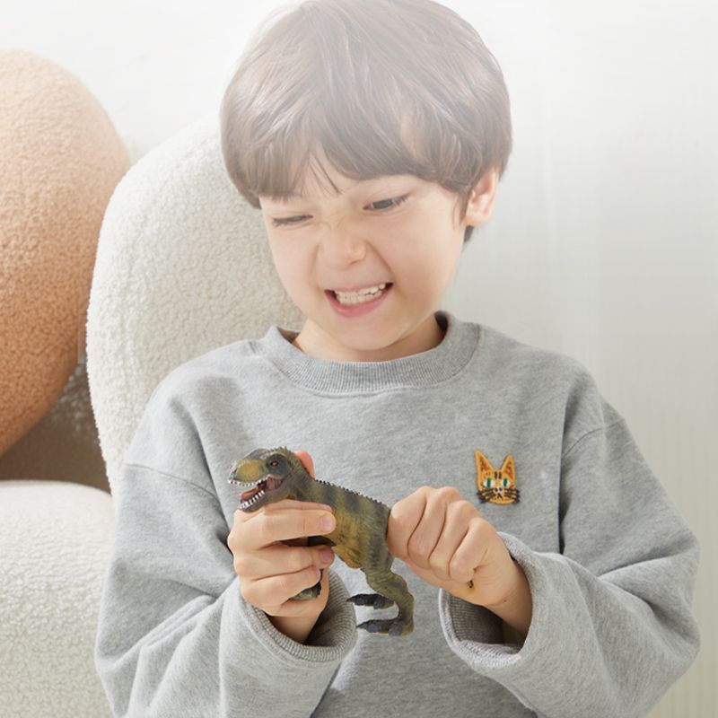 Chłopiec bawiący się zestawem figurek dinozaurów dla dzieci marki EMS DOIY w szarej bluzie
