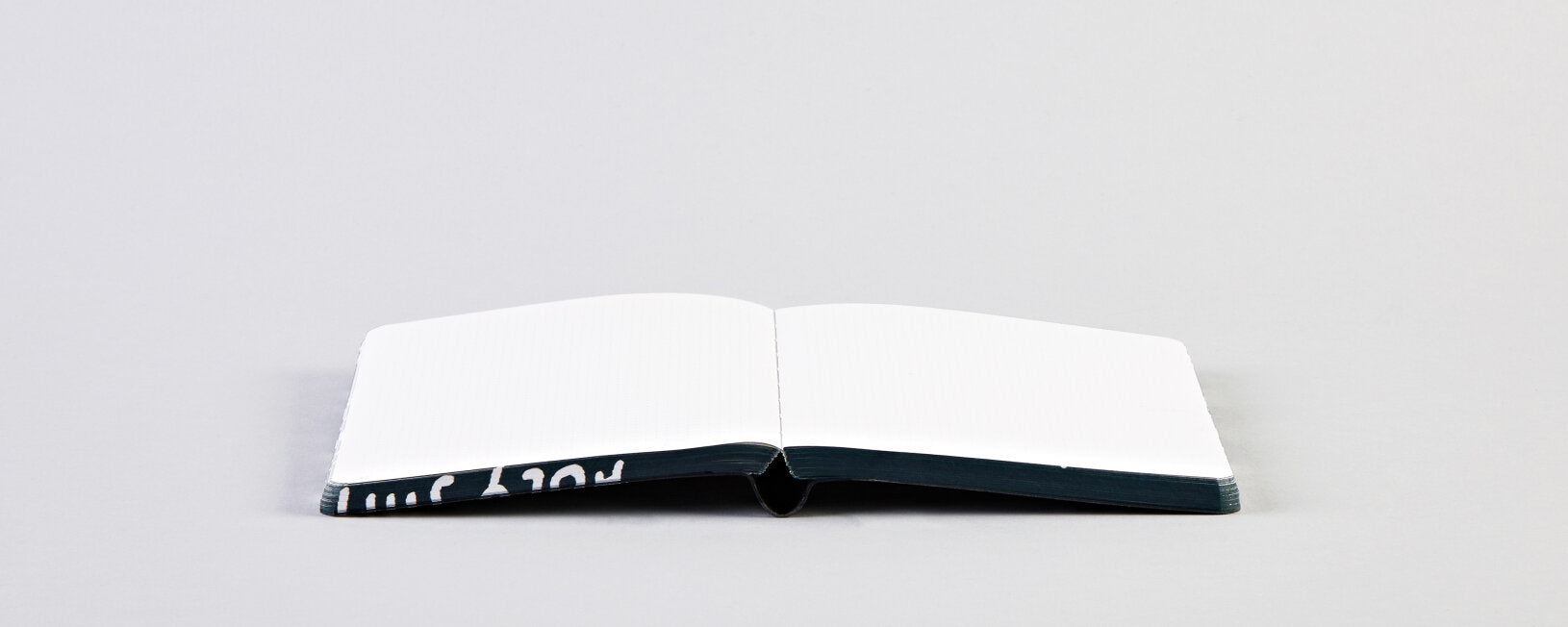 Otwarty notatnik Holy Shit z pustymi białymi stronami na szarym tle od BV JACOB COMPANY