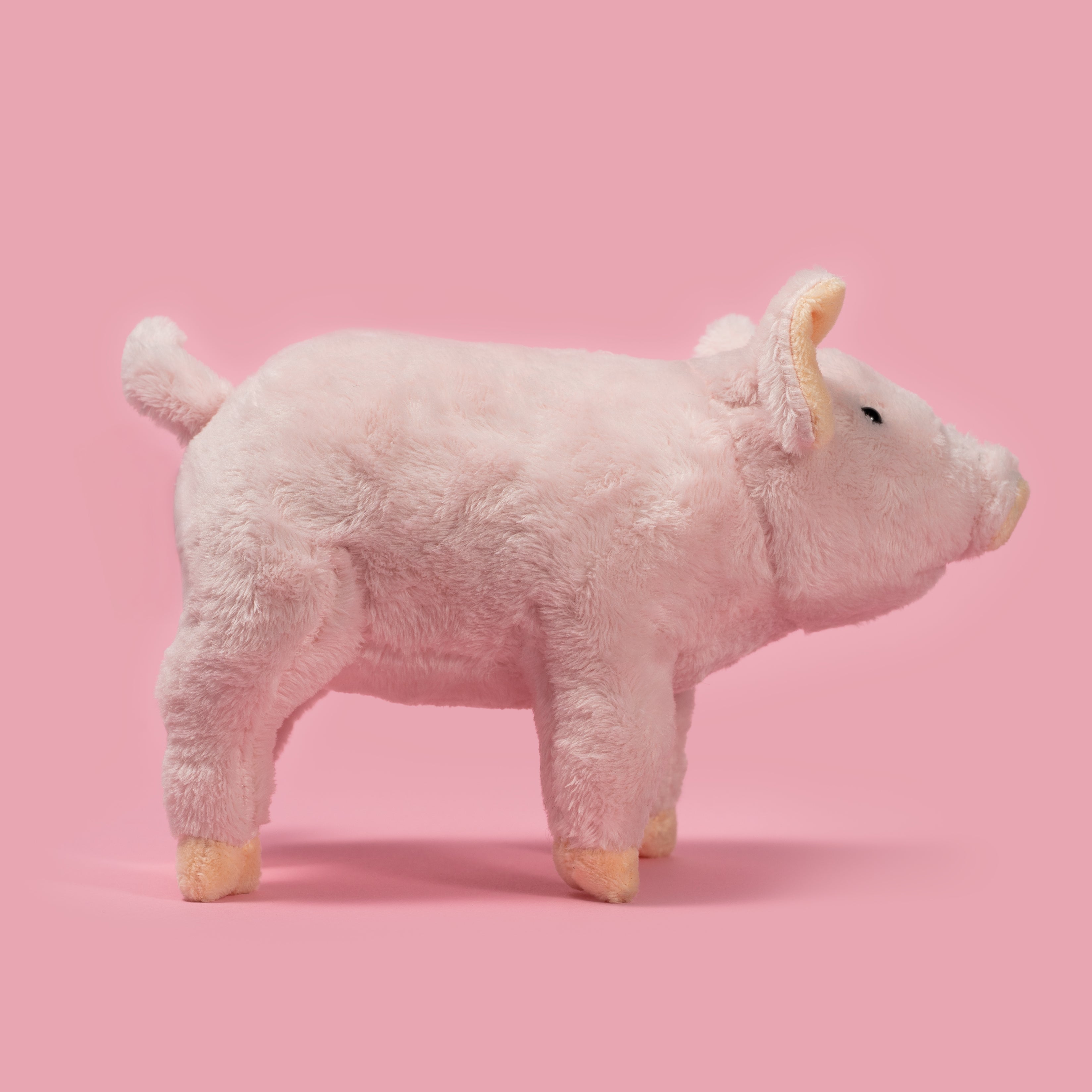 Pluszak świnka dla dzieci w różowym kolorze miękki pluszowy miś od Wild Planet