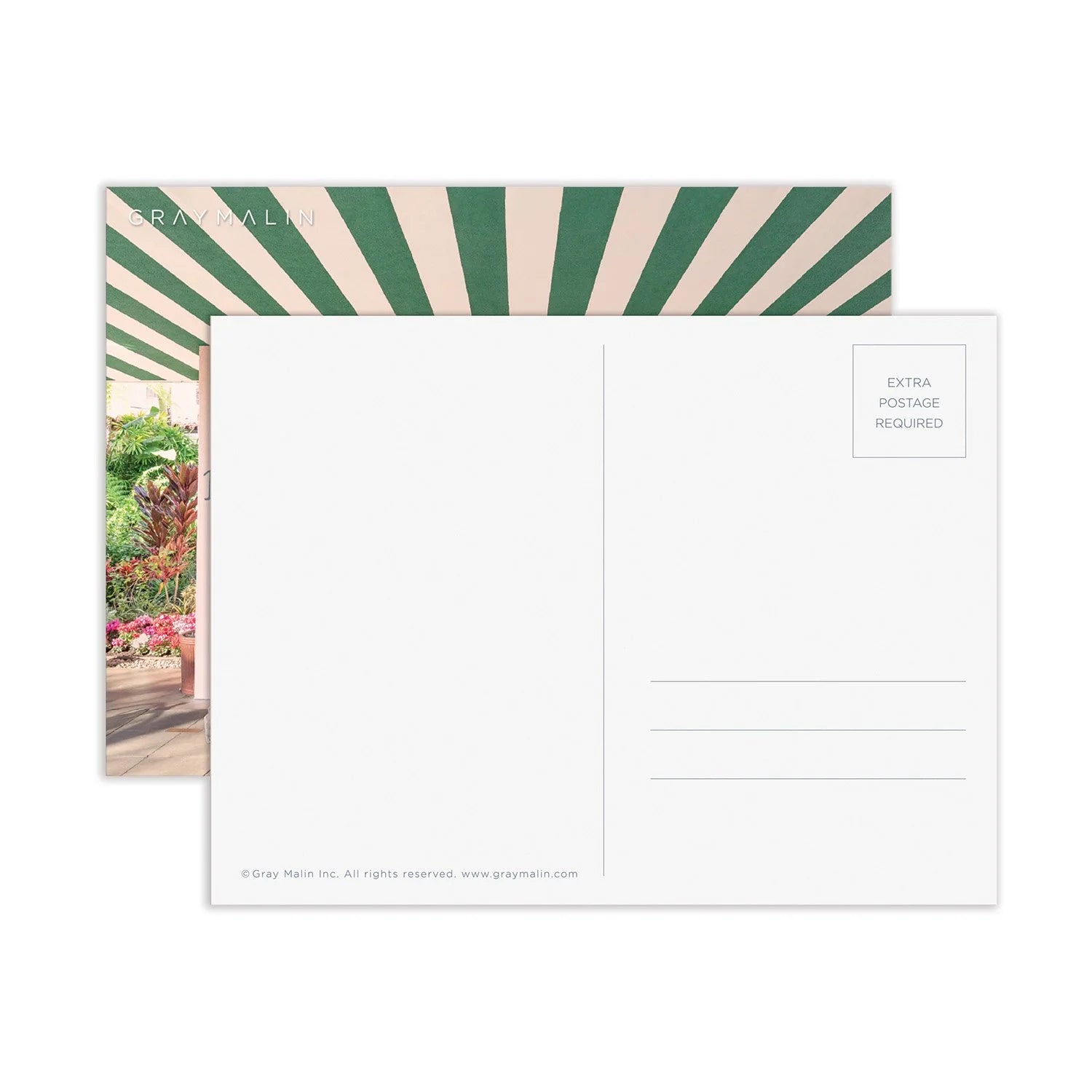 Puzzle Galison Gray Malin – The Dogs at the Beverly Hills Hotel (500 el.)