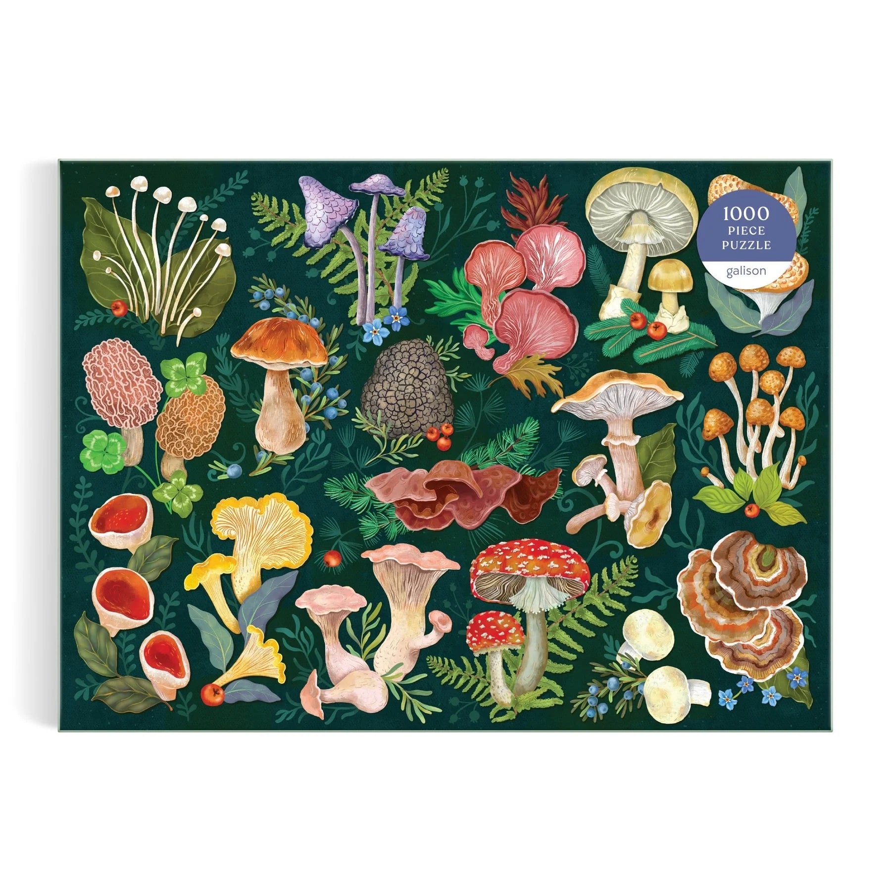 Puzzle Galison – World of Mushrooms (1000 el.)