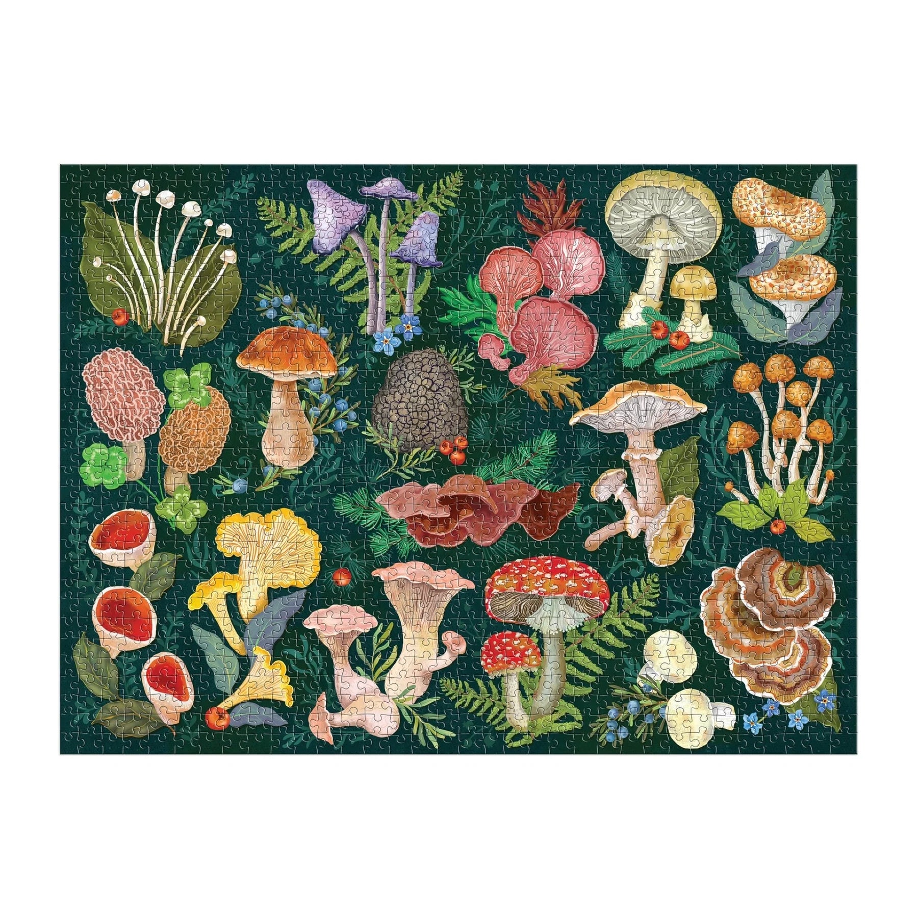 Puzzle Galison – World of Mushrooms (1000 el.)