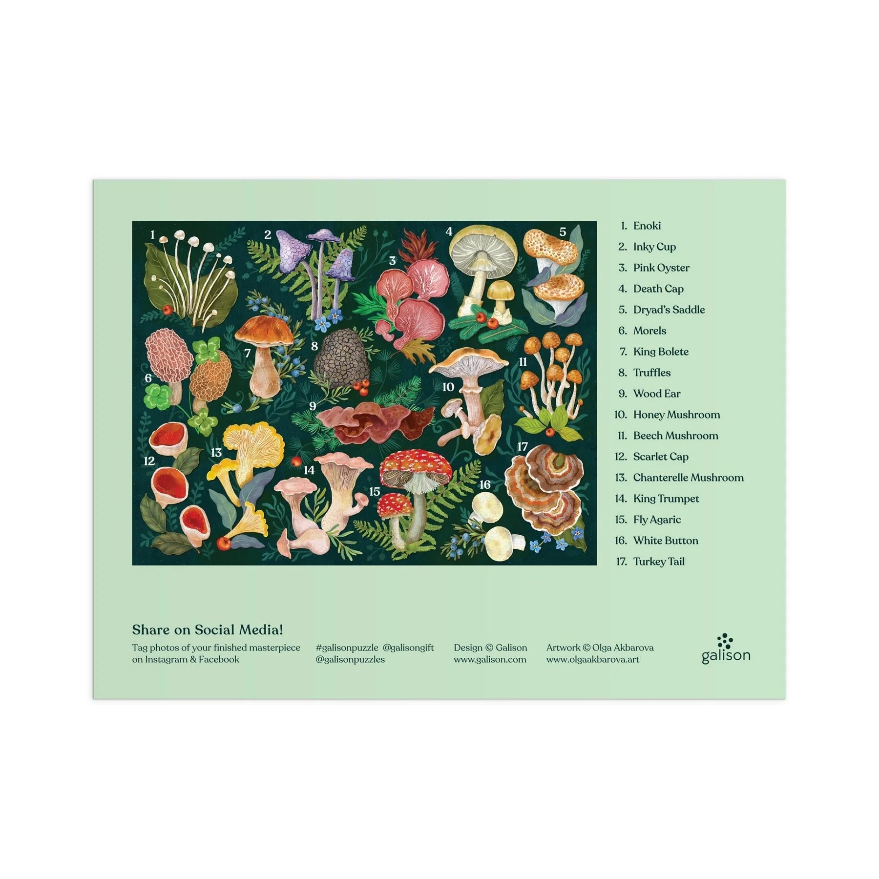 Puzzle Galison – World of Mushrooms (1000 el.)