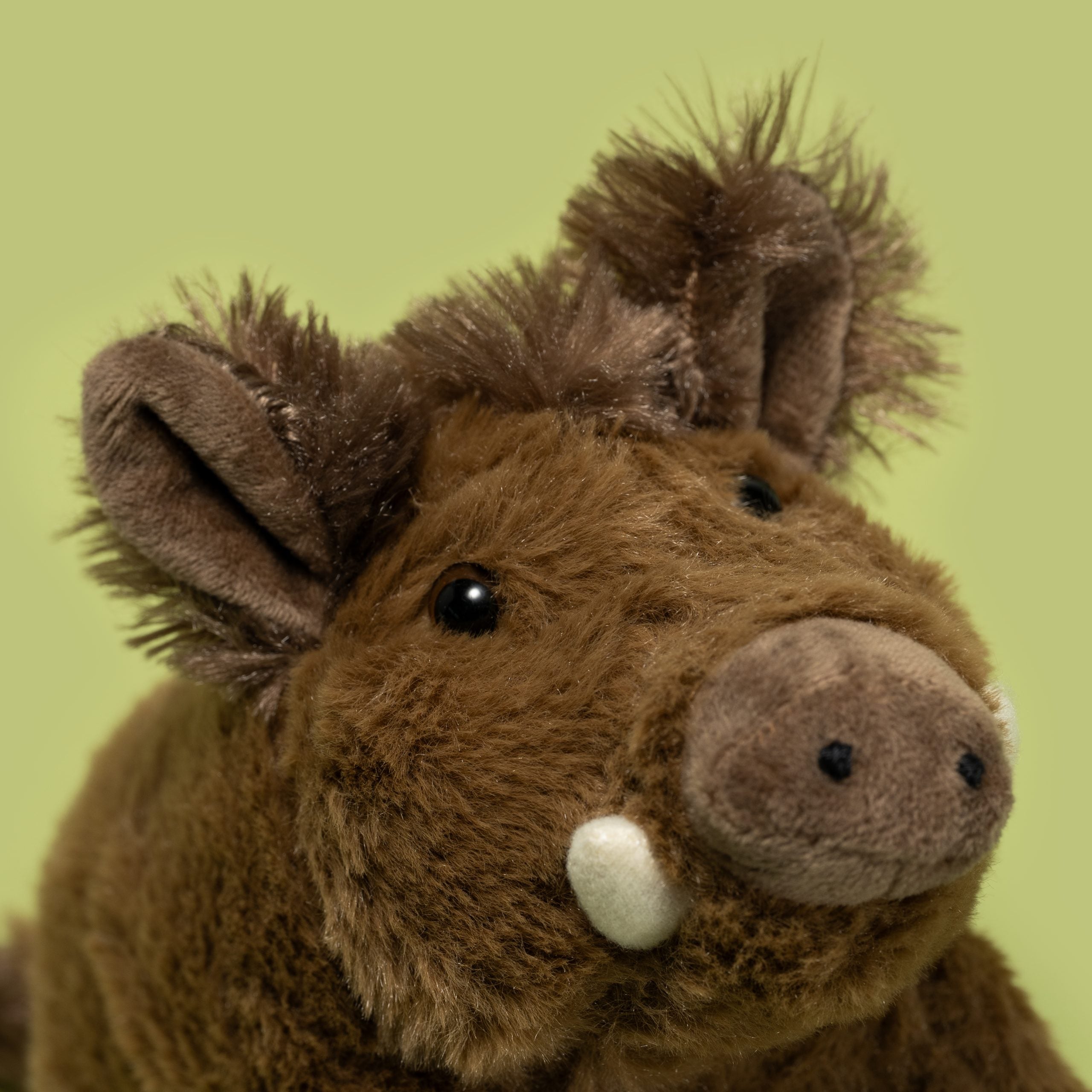 Peluche de jabalí de Wild Planet: todo sobre la naturaleza