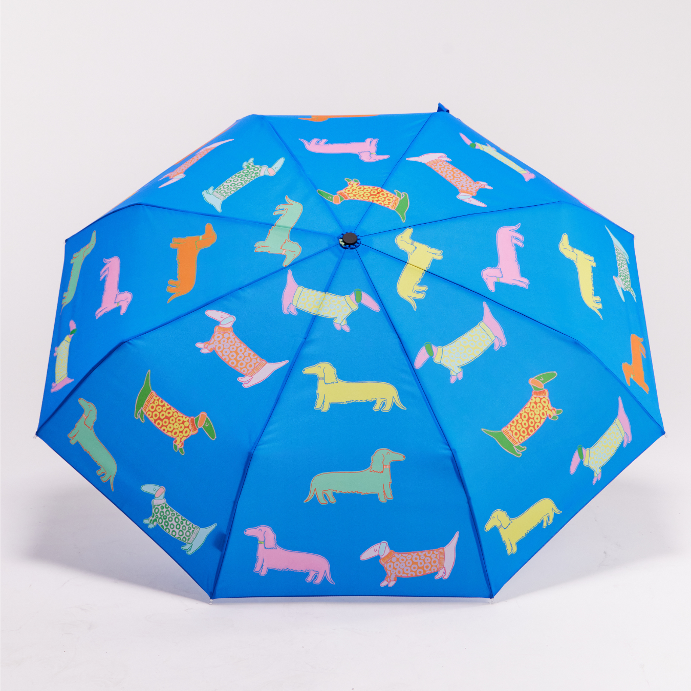 Parasolka kaczka Original Duckhead – Psy niebieskie