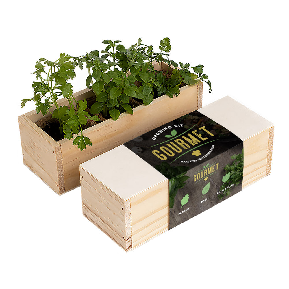 Gourmet – zestaw do uprawy ziół Resetea (pietruszka, bazylia, kolendra)