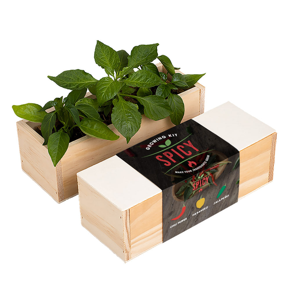 Spicy – zestaw do uprawy papryczek Resetea (chili, habanero, jalapeño)