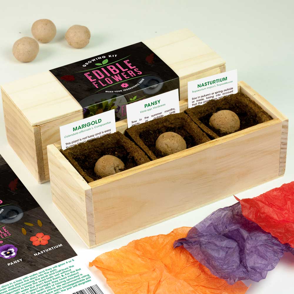 Jadalne kwiaty – zestaw do uprawy Resetea (aksamitka, bratek, nasturcja)