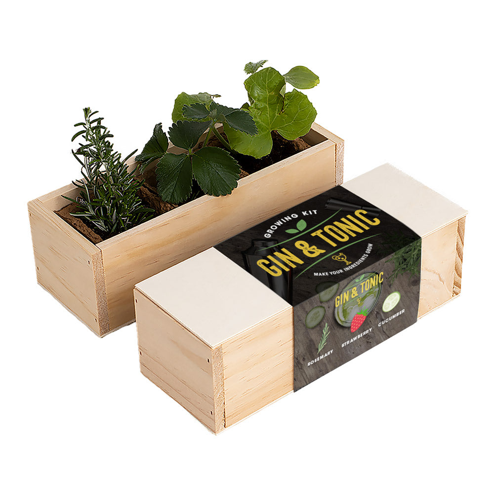 Gin Tonic – zestaw do uprawy Resetea (rozmaryn, truskawka, ogórek)