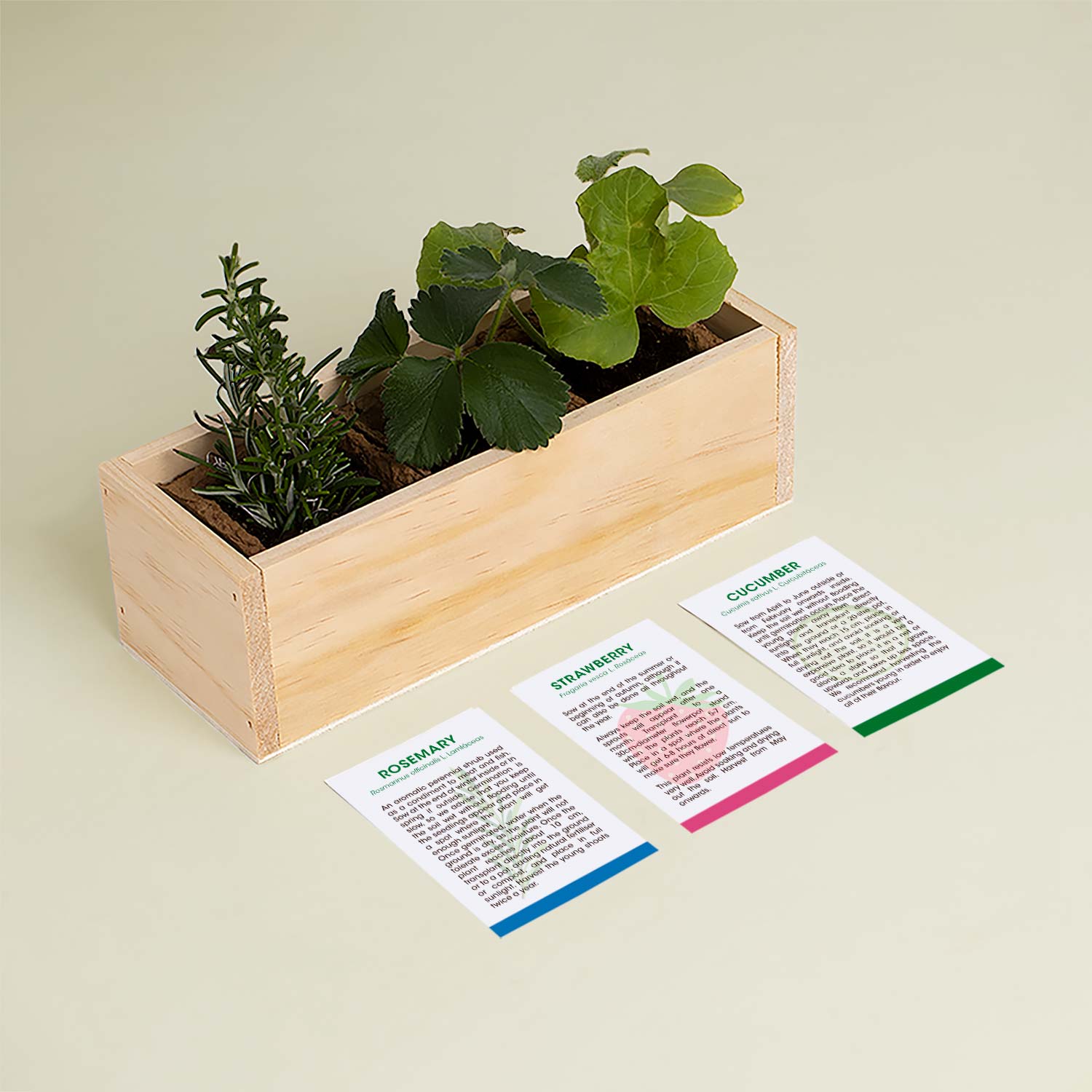 Gin Tonic – zestaw do uprawy Resetea (rozmaryn, truskawka, ogórek)