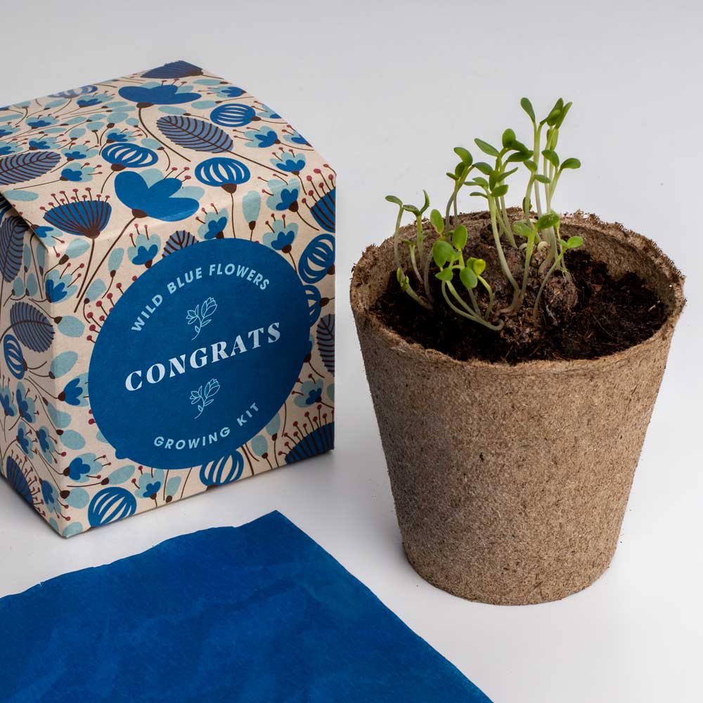 Zestaw Say it with Flowers Resetea – Congrats