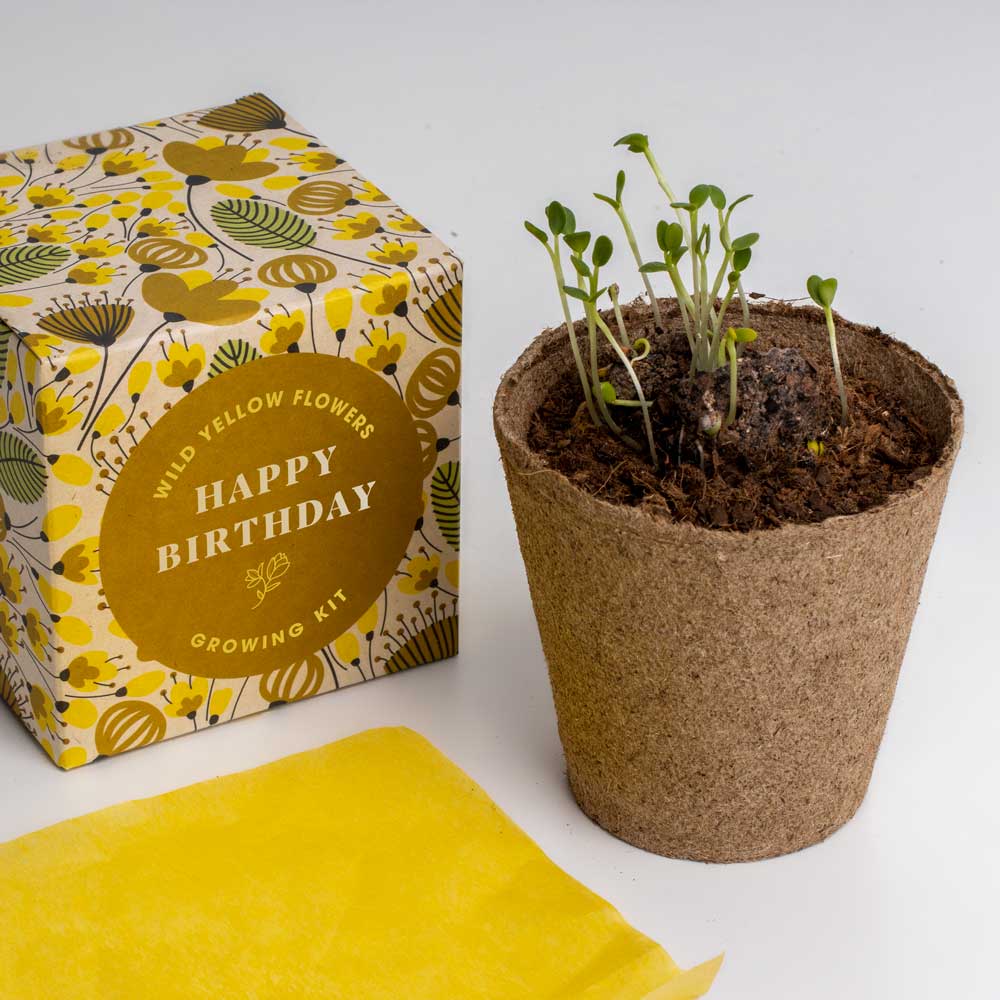 Zestaw Say it with Flowers Resetea – Happy Birthday