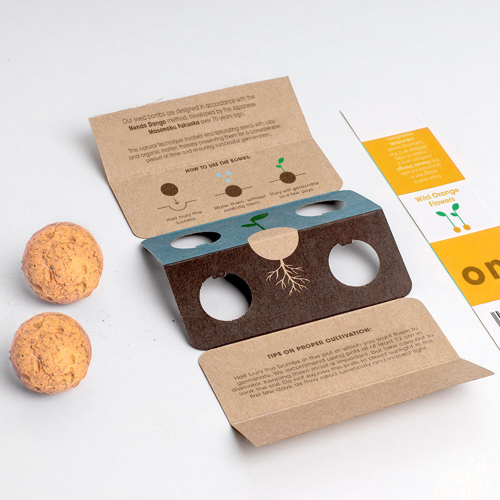 Biodiversity Bombs Resetea– Wild Orange Flowers