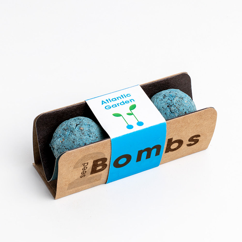 Biodiversity Bombs Resetea– Atlantic Garden