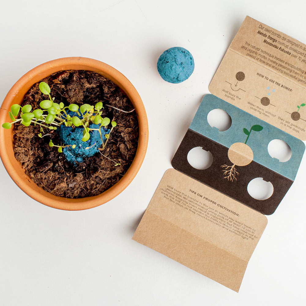 Biodiversity Bombs Resetea– Atlantic Garden