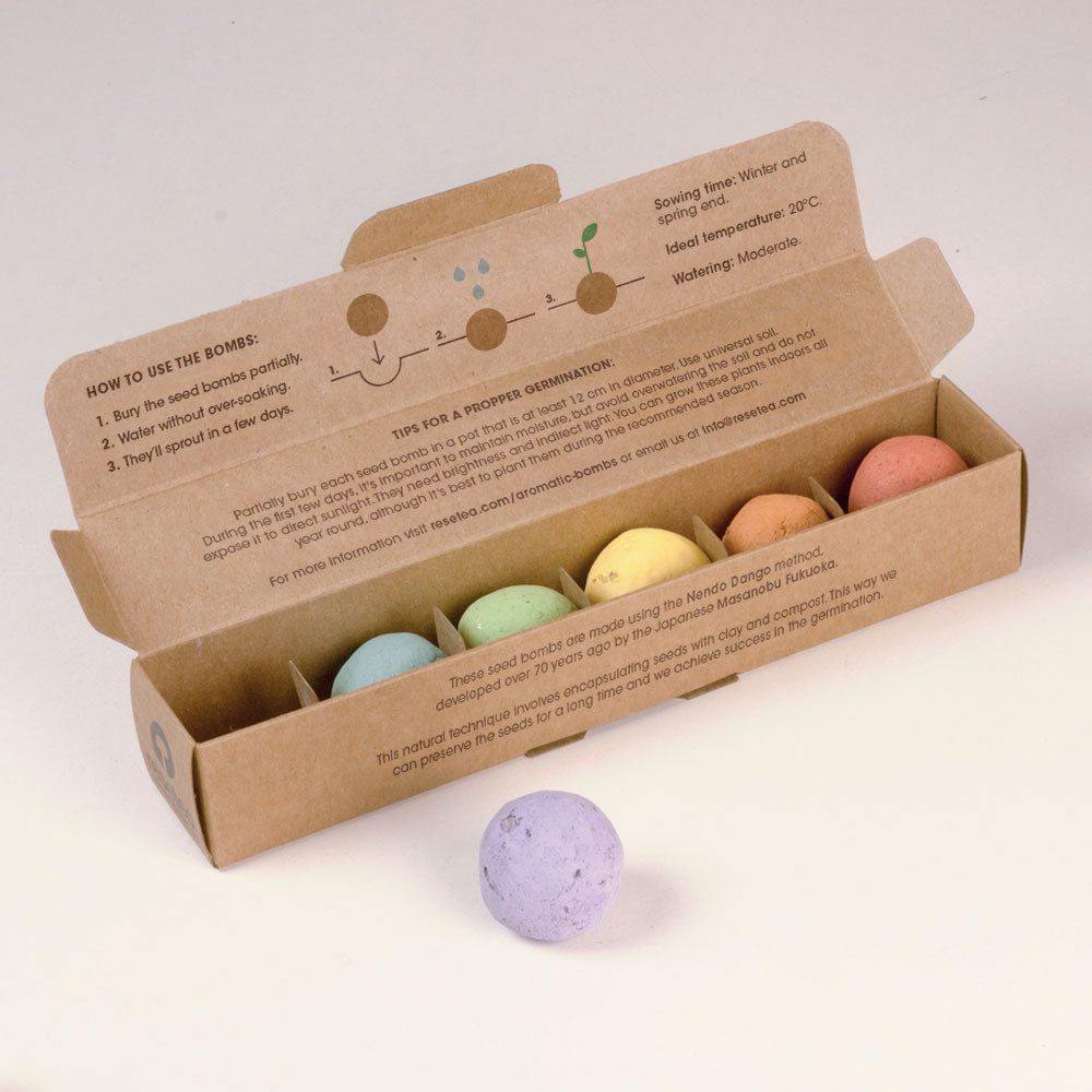 Zestaw 6 bomb kwiatowych Resetea