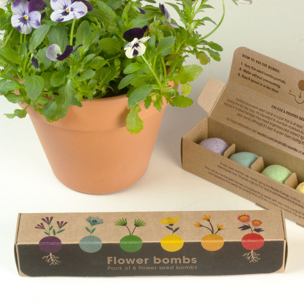 Zestaw 6 bomb kwiatowych Resetea