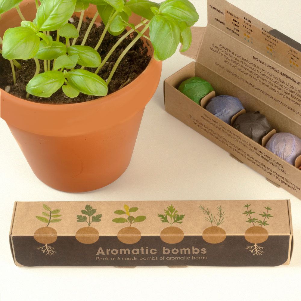 Zestaw 6 bomb nasiennych Resetea – zioła