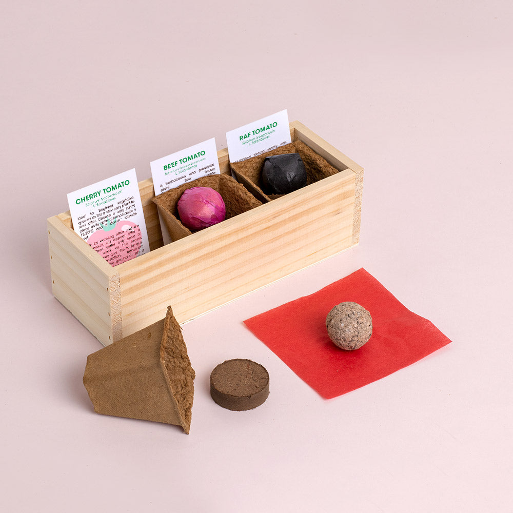 Mini ogród Resetea – Pomidory