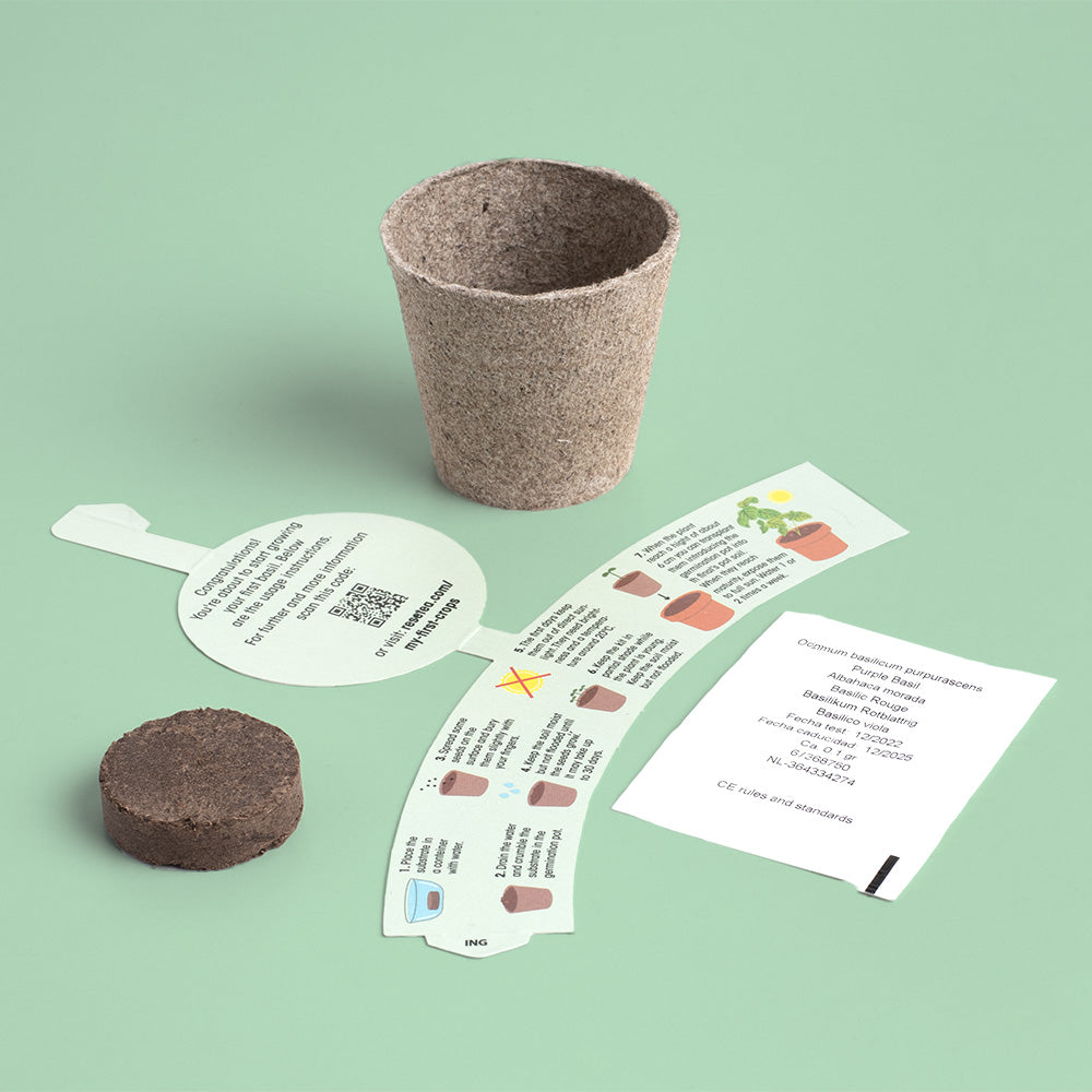 My First Crops Resetea – Bazylia