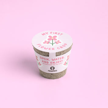 My First Crops Resetea – Las flores