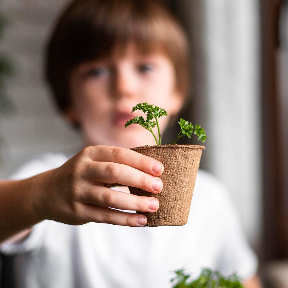 My First Crops Resetea – Kwiaty