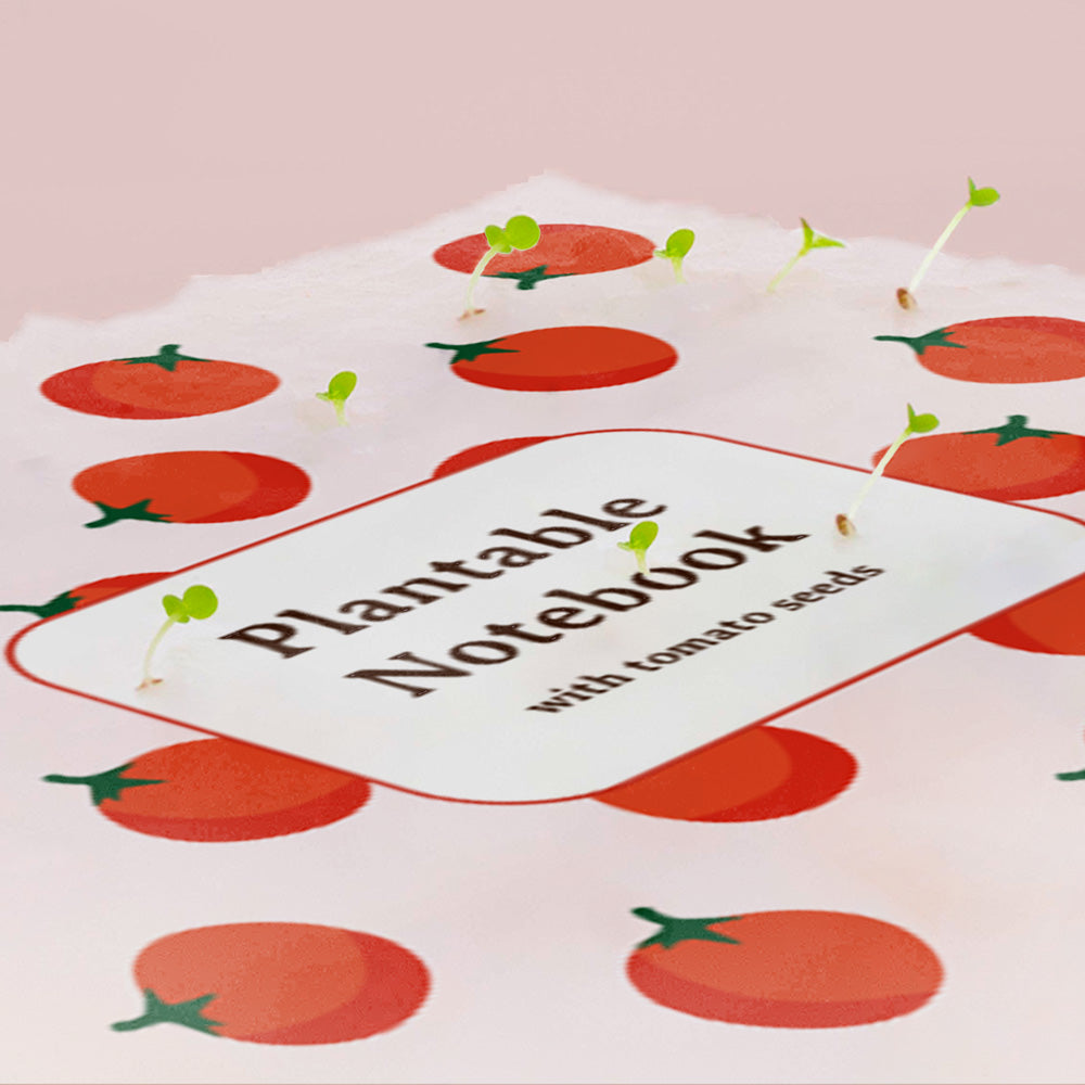 Notes do zasadzenia Resetea – pomidor