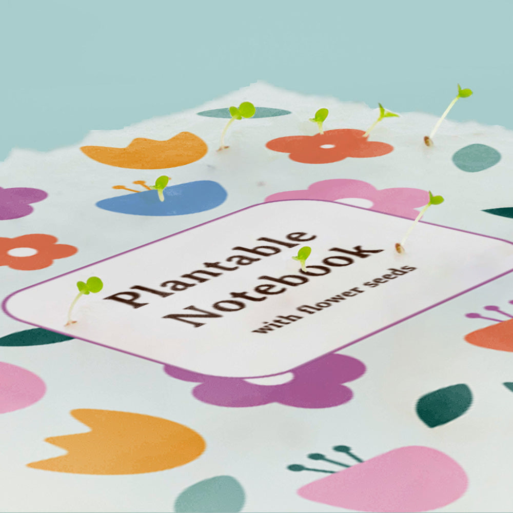 Notes do zasadzenia Resetea – kwiaty