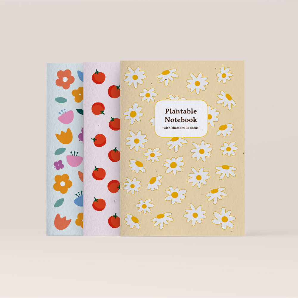 Notes do zasadzenia Resetea – rumianek