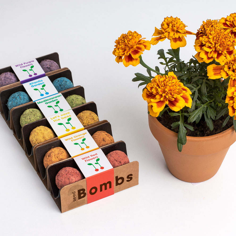 Display Biodiversity Bombs Resetea