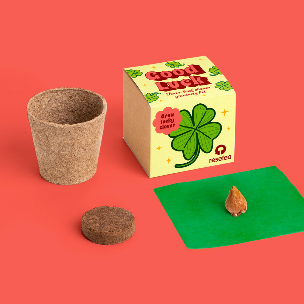 Display Good Luck (12 pcs.) Resetea