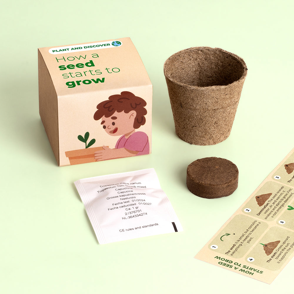 Plant and Discover Resetea – Jak kiełkuje nasiono